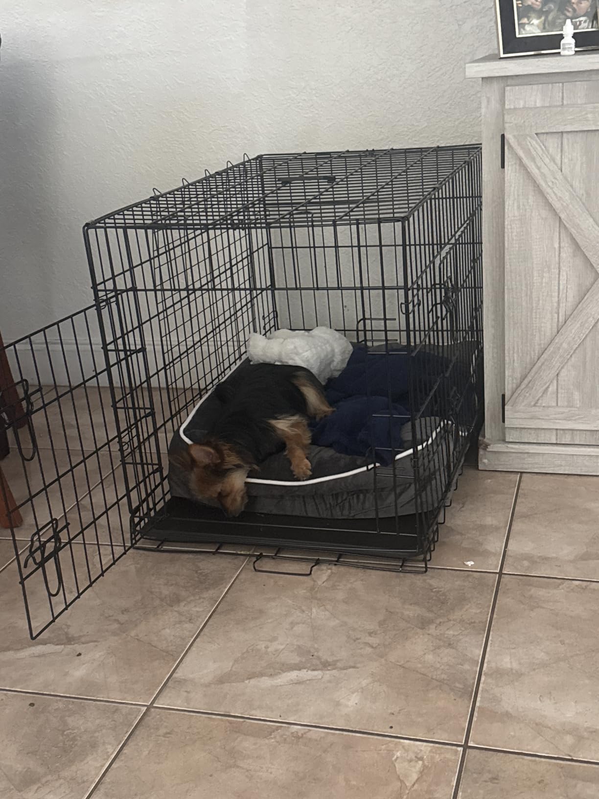 Simple Deluxe 24-Inch Small Dog Crate with Divider, Double Door Folding Metal Wire Cage with Leak-Proof Plastic Tray, Portable Pet Kennel for Indoor, Outdoor, and Travel customer photo 1