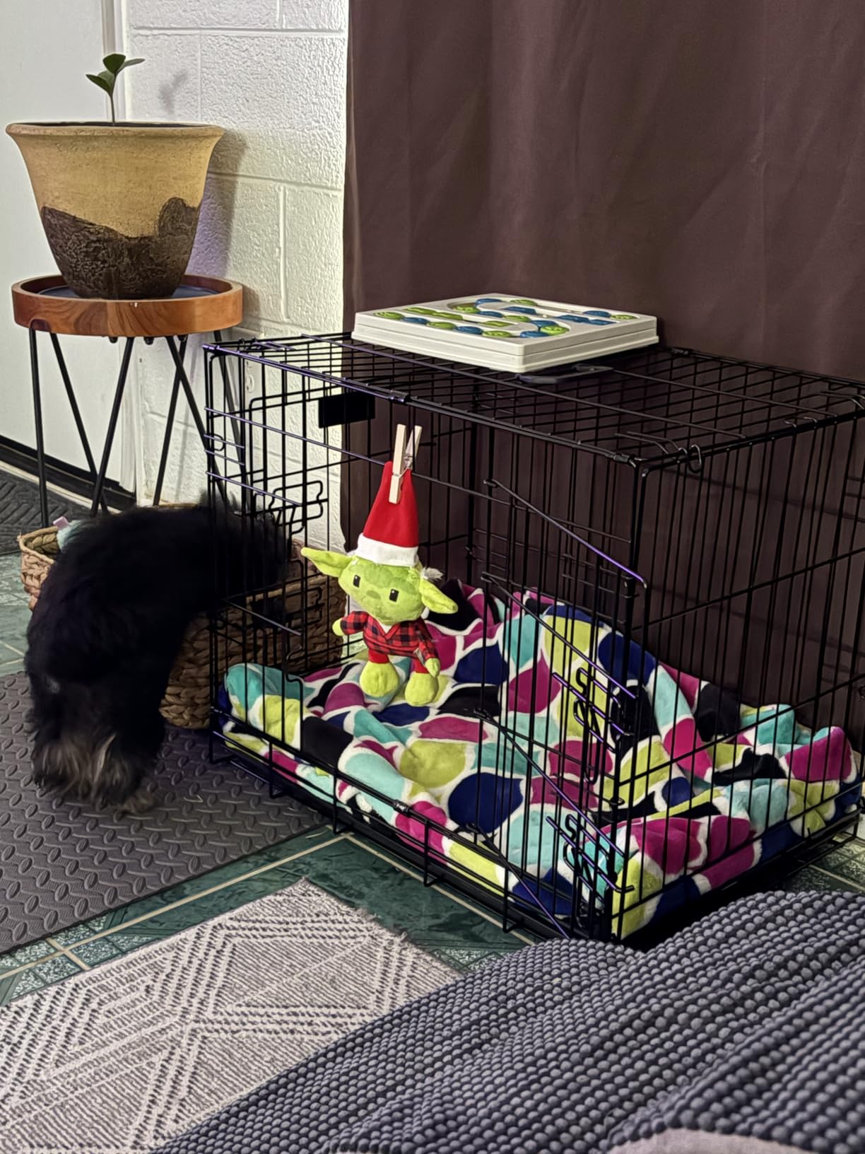Simple Deluxe 24-Inch Small Dog Crate with Divider, Double Door Folding Metal Wire Cage with Leak-Proof Plastic Tray, Portable Pet Kennel for Indoor, Outdoor, and Travel customer photo 2