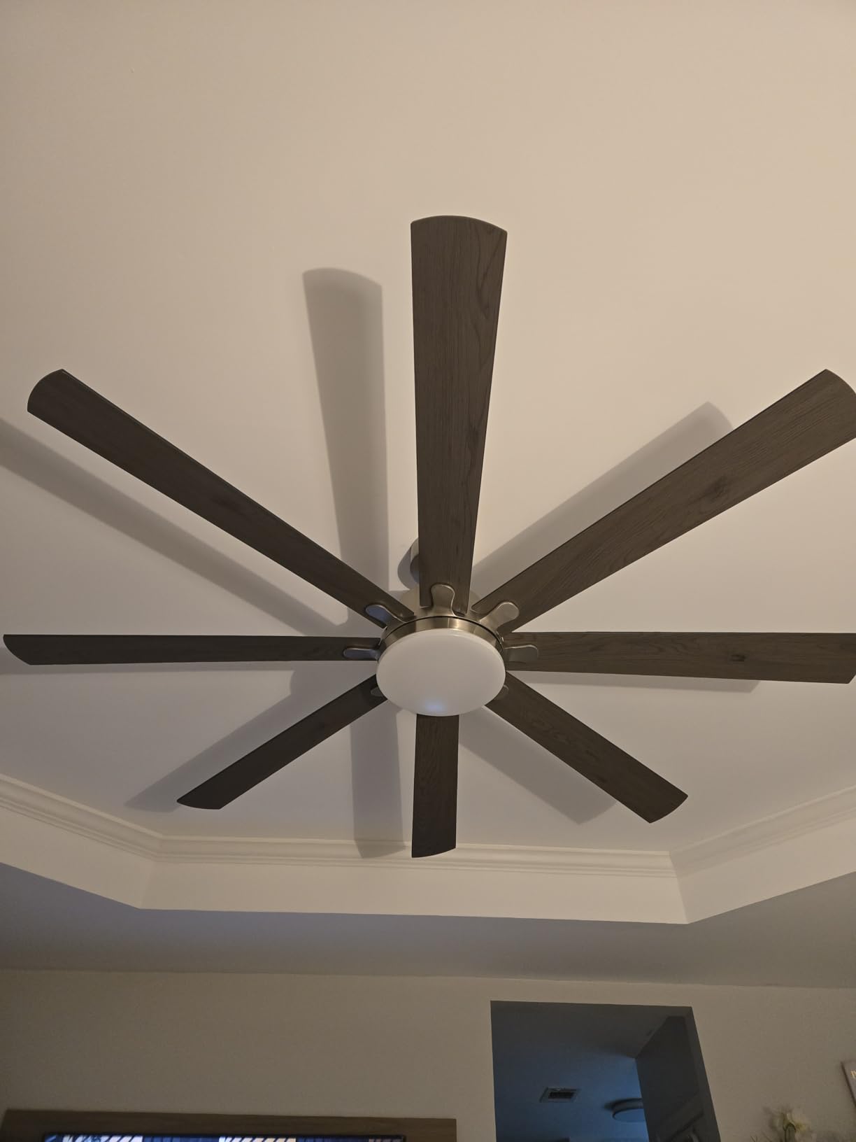 ZMISHIBO 72 Inch Large Ceiling Fan with Remote, Large LED Panel, Black | Quiet Reversible DC Motor, Powerful Airflow, 6-Speed, 3CCT, Black Ceiling Fan with Light for Living Room, Garage, Patio customer photo 2