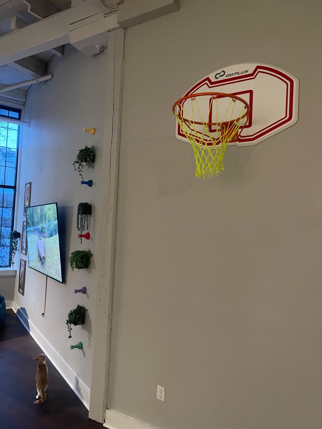 Goplus Large Wall Mounted Basketball Hoop, 36