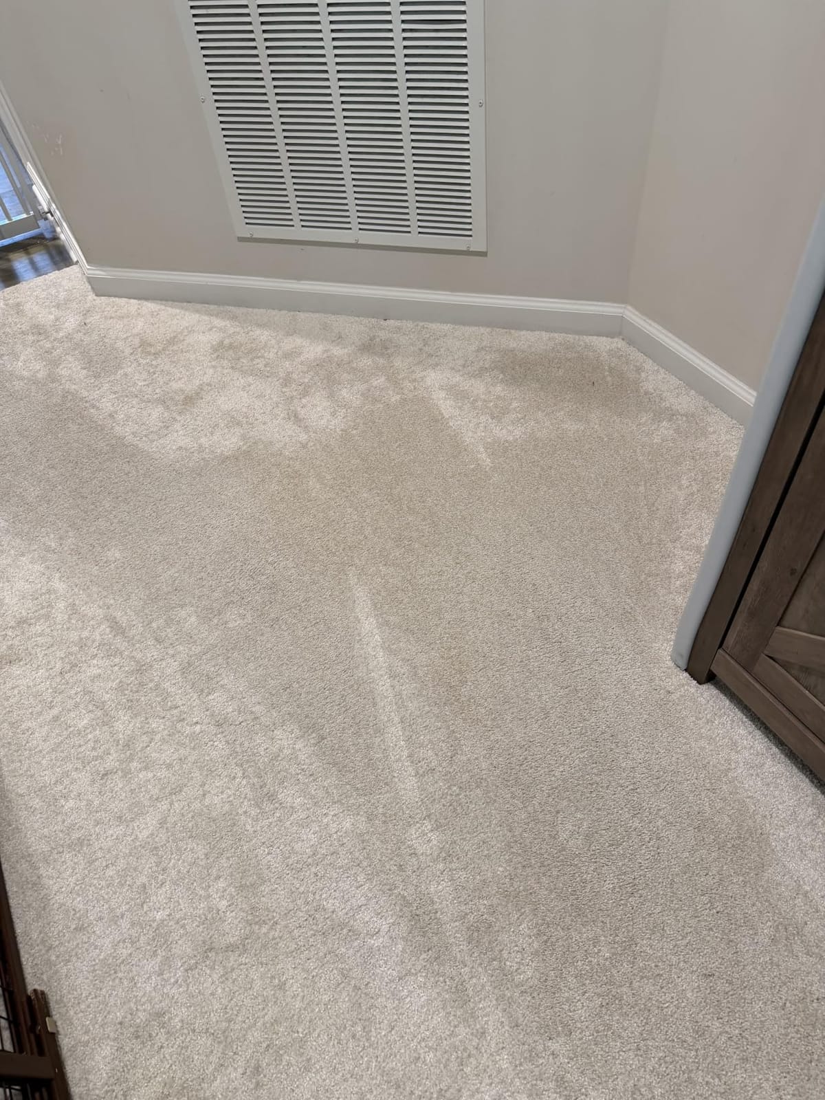 BISSELL Revolution HydroSteam Carpet Cleaner, 4123 customer photo 1