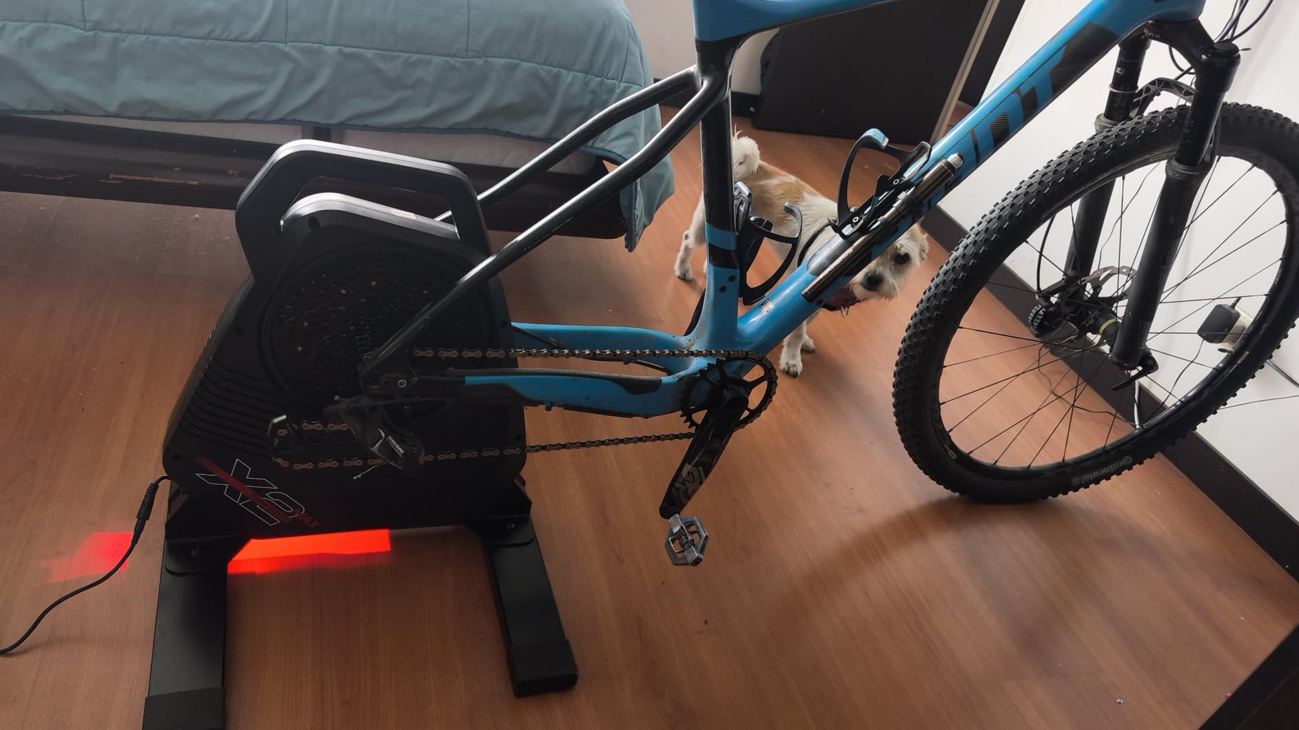 ThinkRider X2Max Smart Bike Trainer, 2000W, Simulates 18% Slope, ANT+ & BLE, Compatible with Zwift customer photo 2