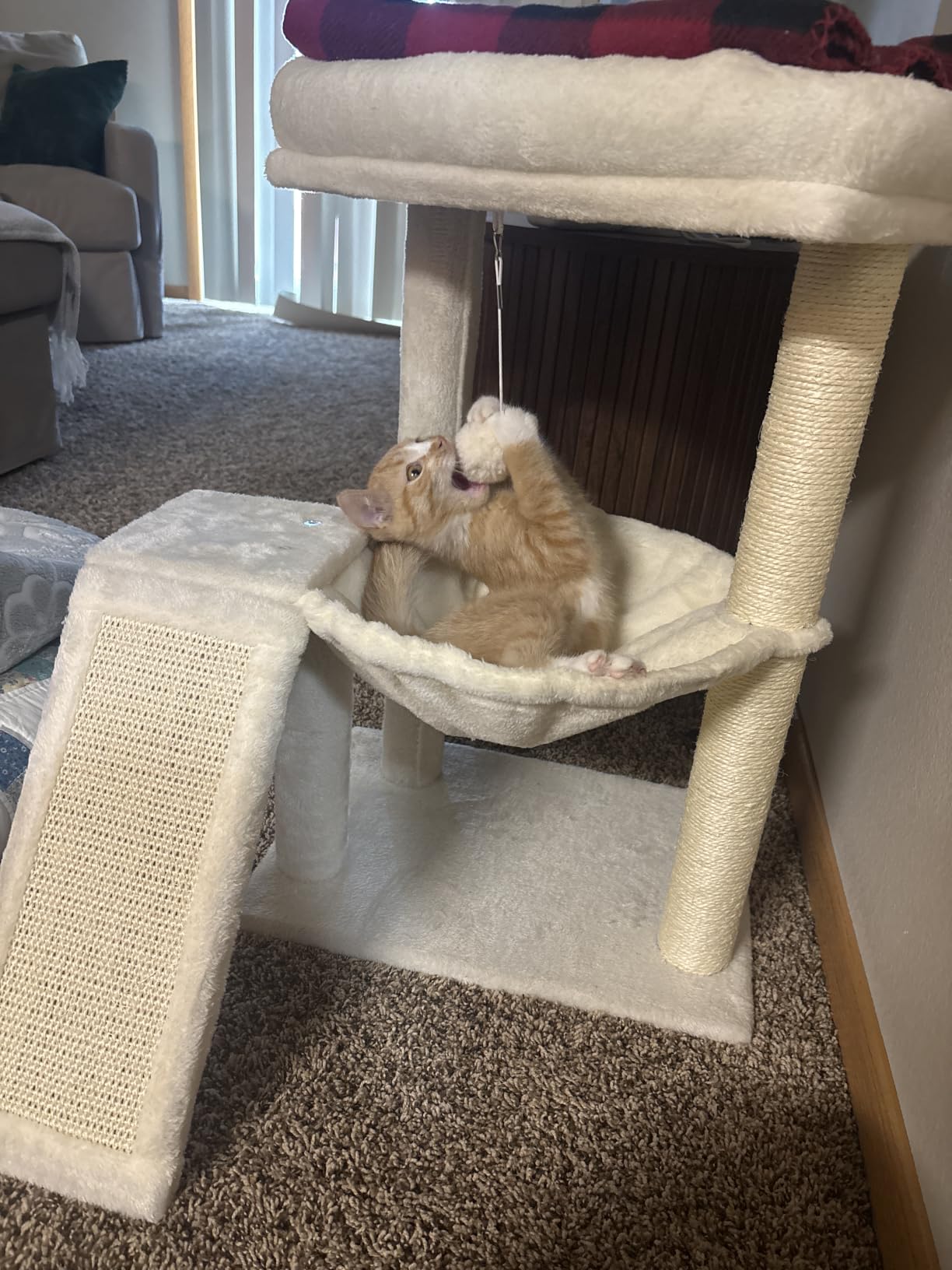 YOUPET Cat Tree with Cat Scratching Post for Indoor Cats, Cat Tower with Scratching Board and Playful Toy Balls, Cat Tree Tower with Cozy Hammock, Grey customer photo 1
