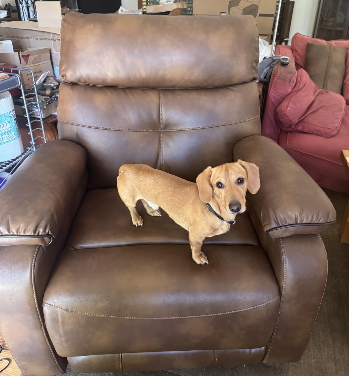 Dual Motor Power Lift Recliner Chair for Adult & Elderly, Leather, Beige | Infinite Position Lay Flat Lift Chair with Heat & Massage, Cup Holder, Lumbar Pillow, Wireless Charger, USB Ports customer photo 1