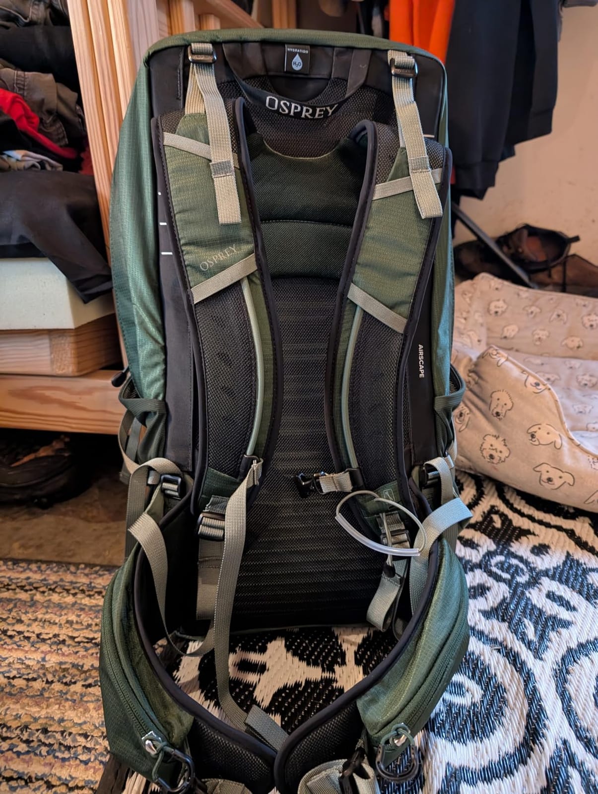 Osprey Talon 22L Men's Lightweight Hiking Backpack, Gray OS customer photo 2