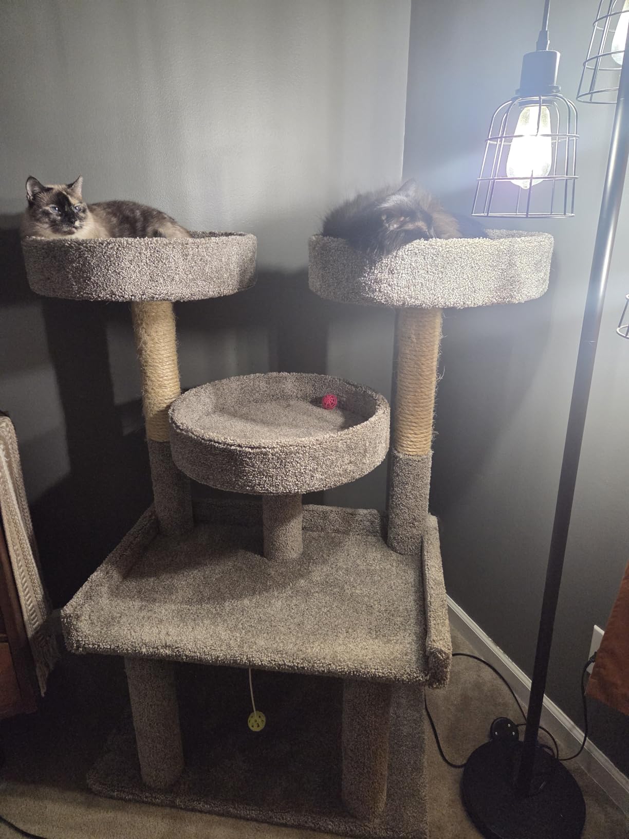 Prestige Cat Trees 46