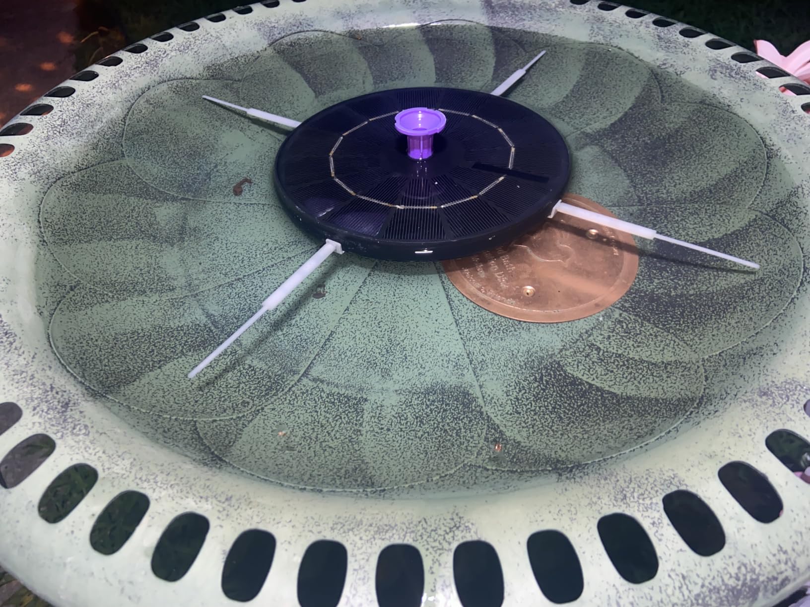 Mellbree Bird Bath Copper Disc, 0.6mm Reinforced 99.99% Pure Copper Cleaning Disk for Physical Safe Clean Water All-Season, Universal Fit for Outdoor Birdbaths, Bowl, Bird Bath Solar customer photo 1