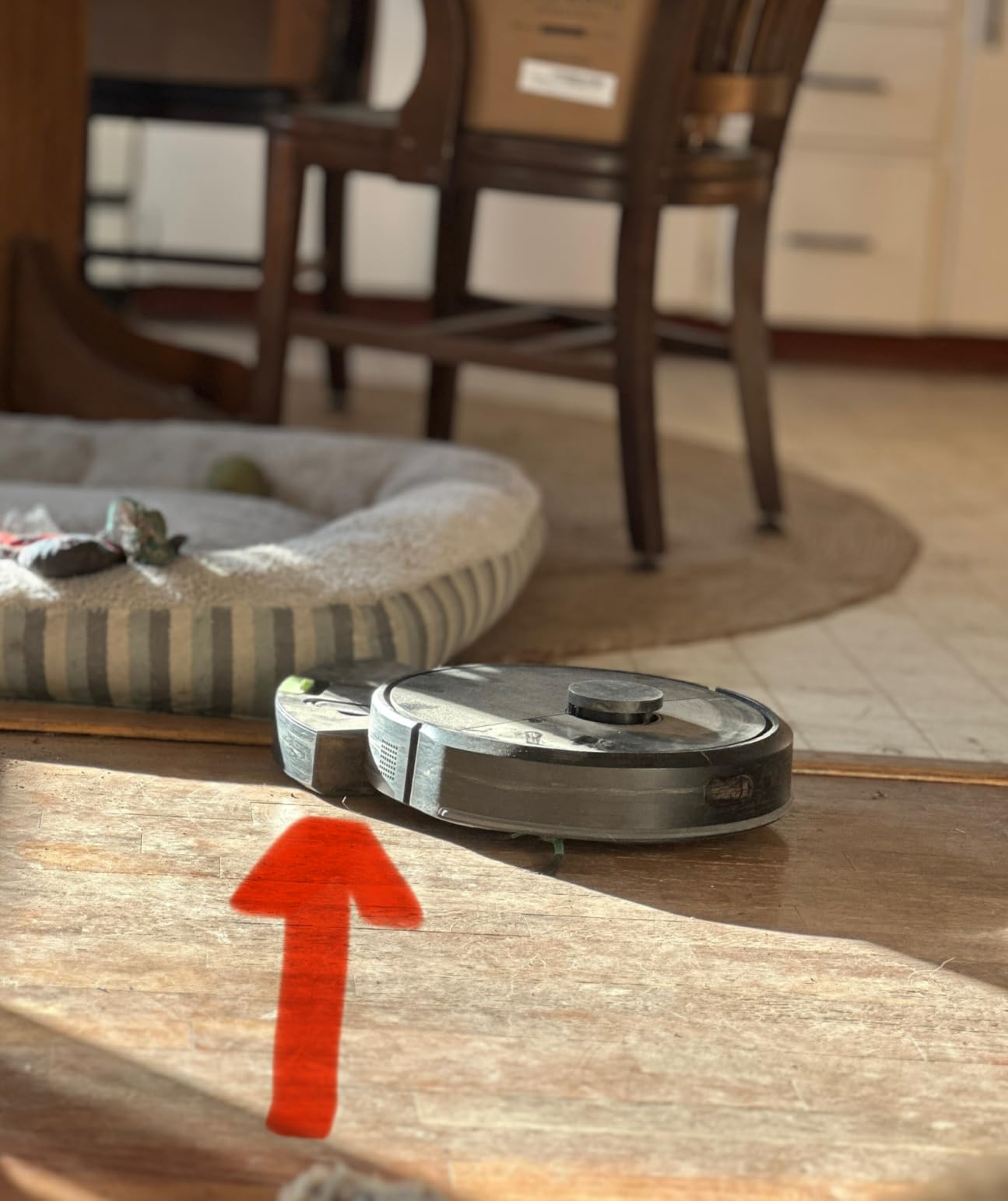iRobot Roomba 105 Vac Robot Vacuum - Easy to use, Intense Power-Lifting Suction, LiDAR Navigation, Multi-Surface Cleaning, Cleans in Neat Rows, Self-Charging customer photo 2