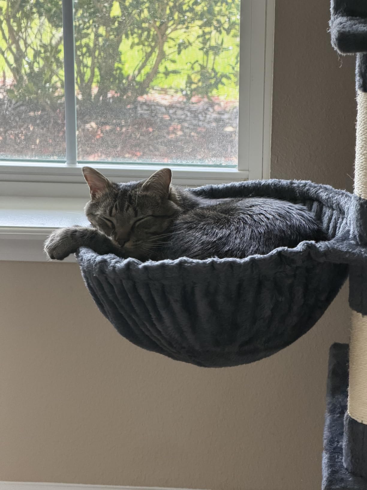 Hey-brother Cat Tree Tower with Stable Extended Base, 3 Platforms, MPJ038W | 70.9 Inches Multi-Level Sisal Scratching Posts, Wide Bed, 2 Cozy Condos, 2 Hammocks, Toy Balls for Indoor Cats, Light Gray customer photo 1
