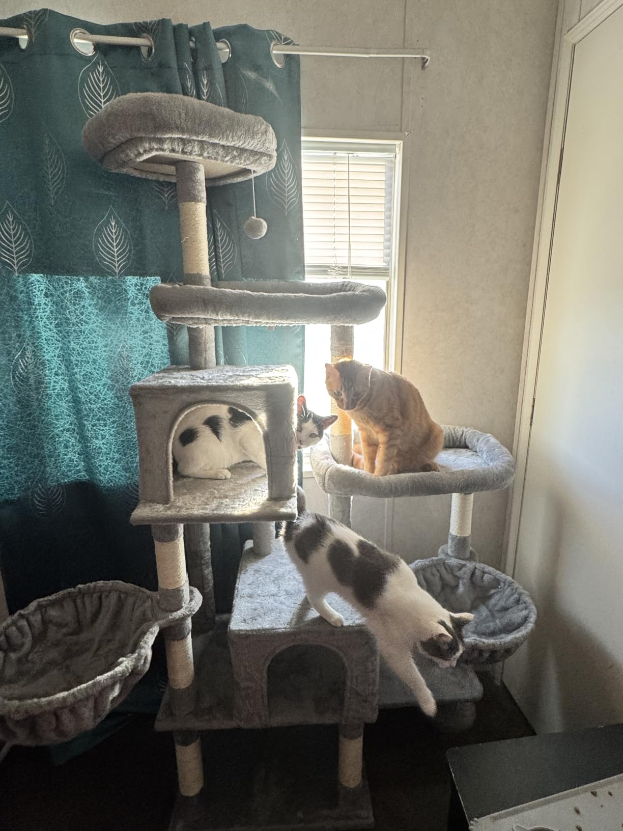 Hey-brother Cat Tree Tower with Stable Extended Base, 3 Platforms, MPJ038W | 70.9 Inches Multi-Level Sisal Scratching Posts, Wide Bed, 2 Cozy Condos, 2 Hammocks, Toy Balls for Indoor Cats, Light Gray customer photo 2