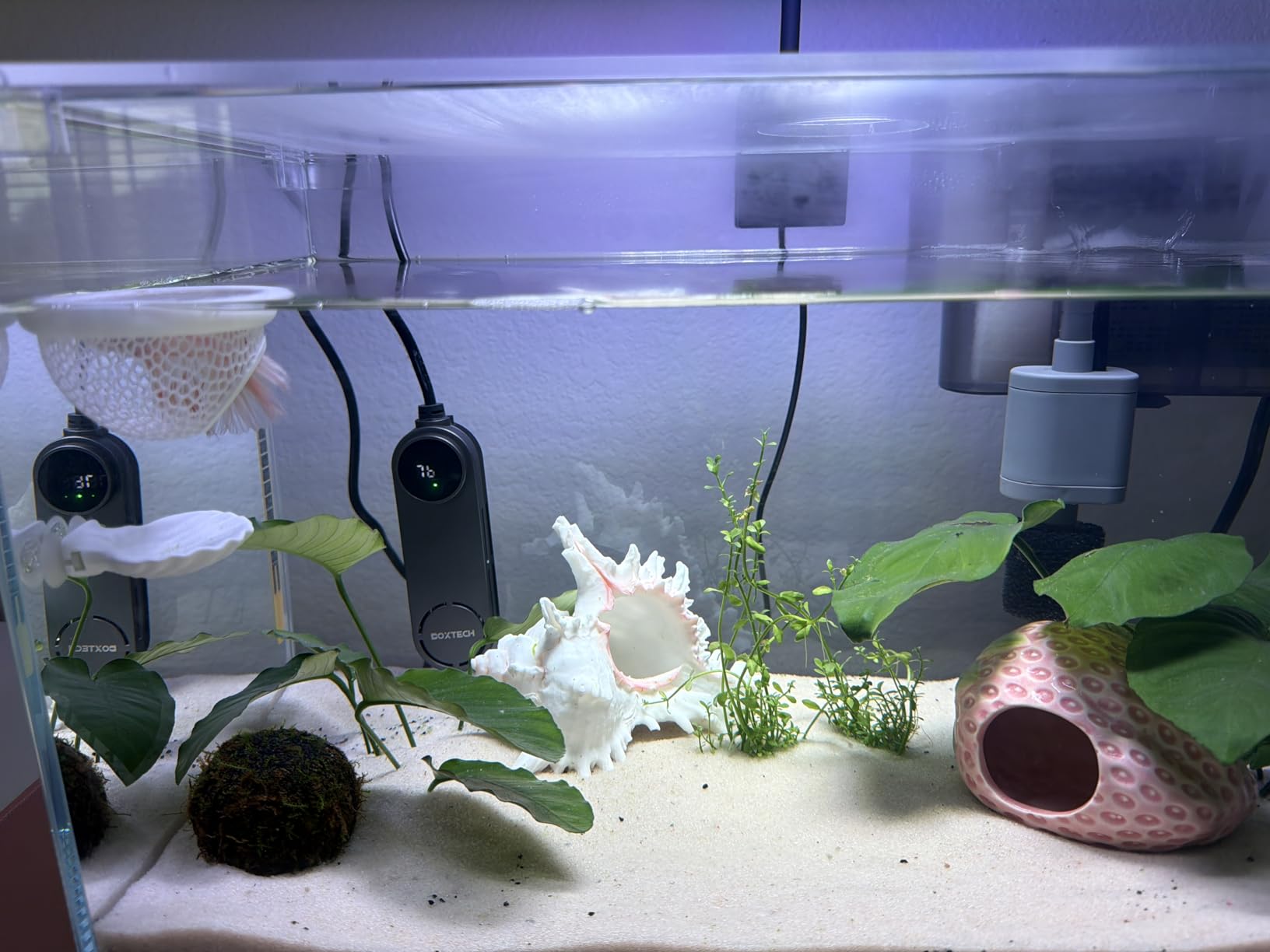 Vimvins 10 Gallon Glass Small Fish Tank with Filter Light and Lid, Aquarium Starter Kit customer photo 2