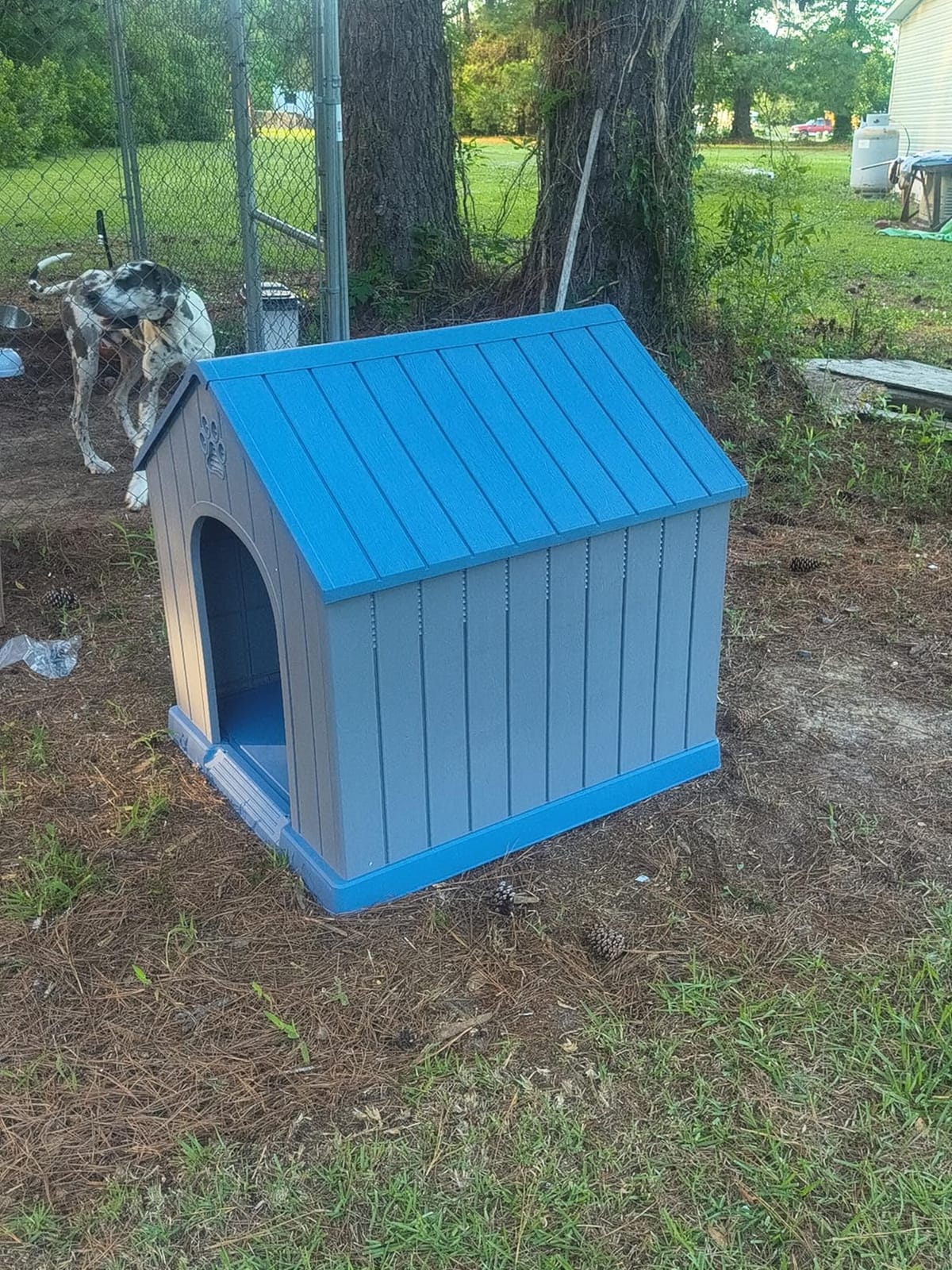 DRATO Large Dog House Indoor Outdoor, Blue, 38.62×36.26×38.07 in | Waterproof, Puppy Shelter with Air Vents and Elevated Floor, Sturdy Dog Kennel for Small to Large Sized Dogs customer photo 1