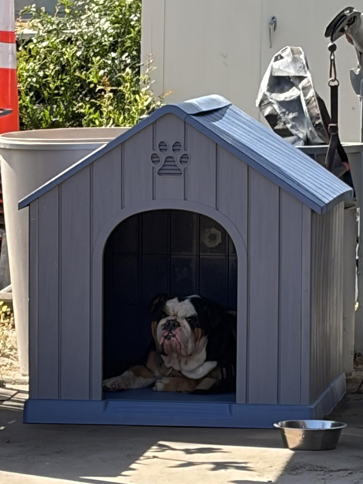 DRATO Large Dog House Indoor Outdoor, Blue, 38.62×36.26×38.07 in | Waterproof, Puppy Shelter with Air Vents and Elevated Floor, Sturdy Dog Kennel for Small to Large Sized Dogs customer photo 2
