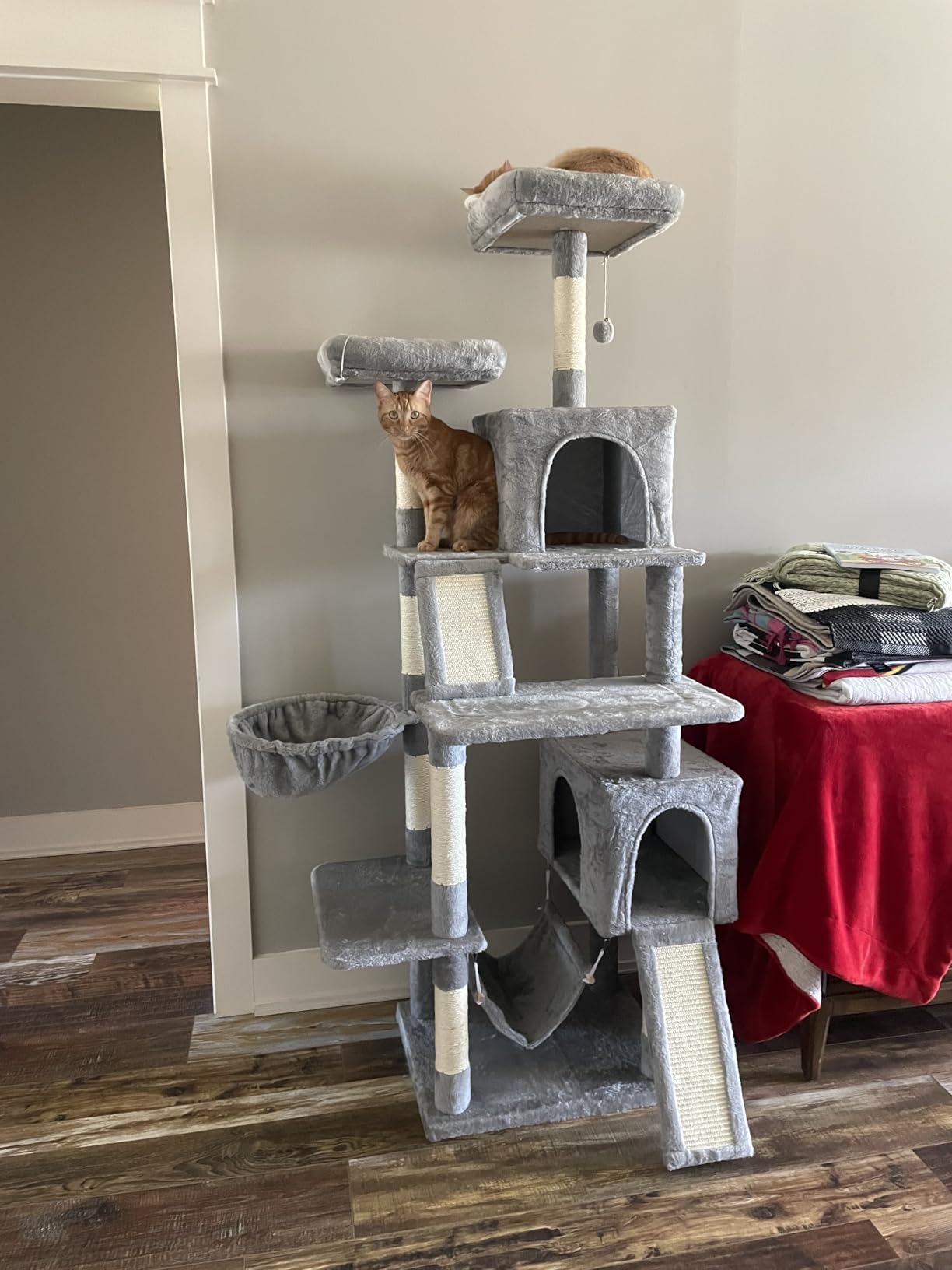 Gitelsnour Cat Tree, 71'' Tower for Large Cat with Scratching Post, GCT032G | 2 Cat Condo House for Indoor Cats Large Adult, 2 Scratching Boards, 7 Posts, 2 Plush Perches, Hammock, Basket, Smoky Gray customer photo 2