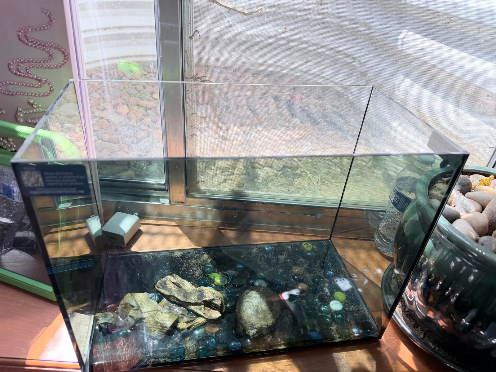 Wonderfactory 5 Gallon Small Aquarium Set Glass Fish Tank 6 Gallon, Starter Kit with Heater Water Pump Cleaning System Filter Bright Light Rocks Gravel Cleaning Tool, Clear Rimless Betta Plants customer photo 1