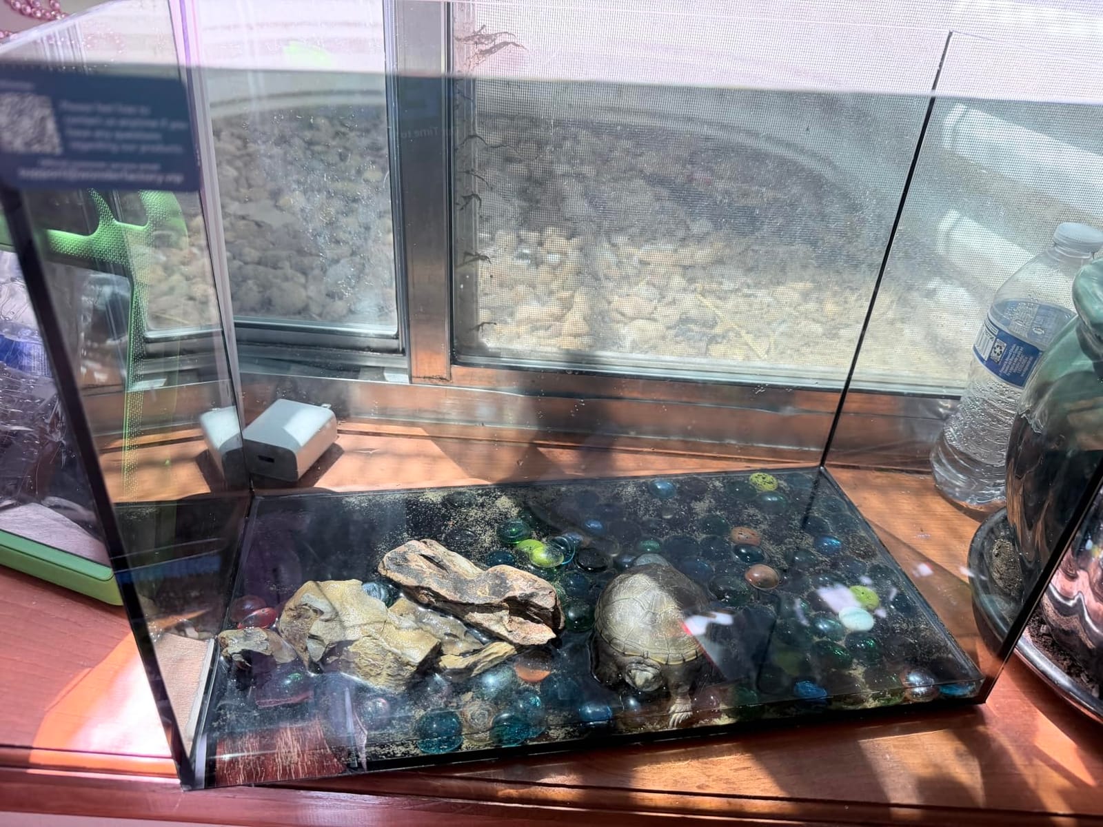 Wonderfactory 5 Gallon Small Aquarium Set Glass Fish Tank 6 Gallon, Starter Kit with Heater Water Pump Cleaning System Filter Bright Light Rocks Gravel Cleaning Tool, Clear Rimless Betta Plants customer photo 2