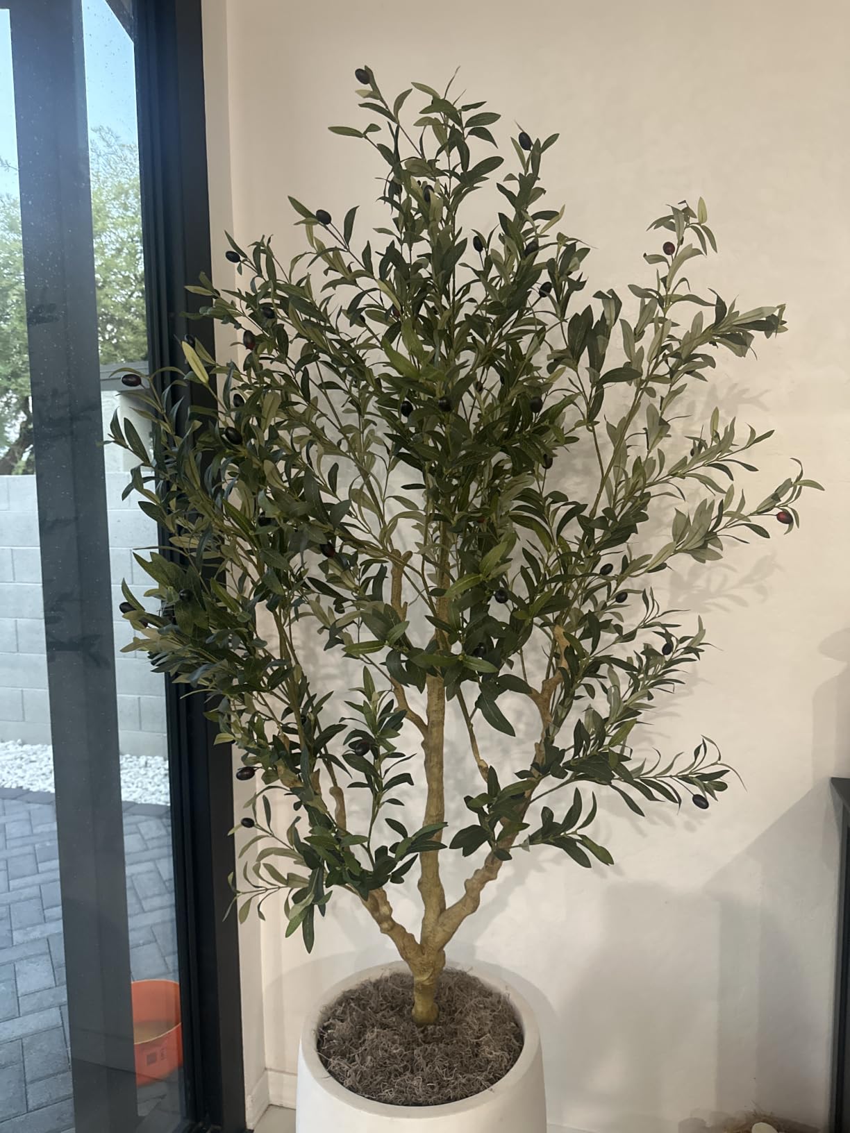 Realead 7FT Olive Trees Artificial Indoor - Tall Faux Olive Tree 7 Feet | Artificial Olive Tree with Realistic Leaves, Natural Trunk, Sturdy Base - Large Fake Olive Tree for Modern Home Office Decor customer photo 1