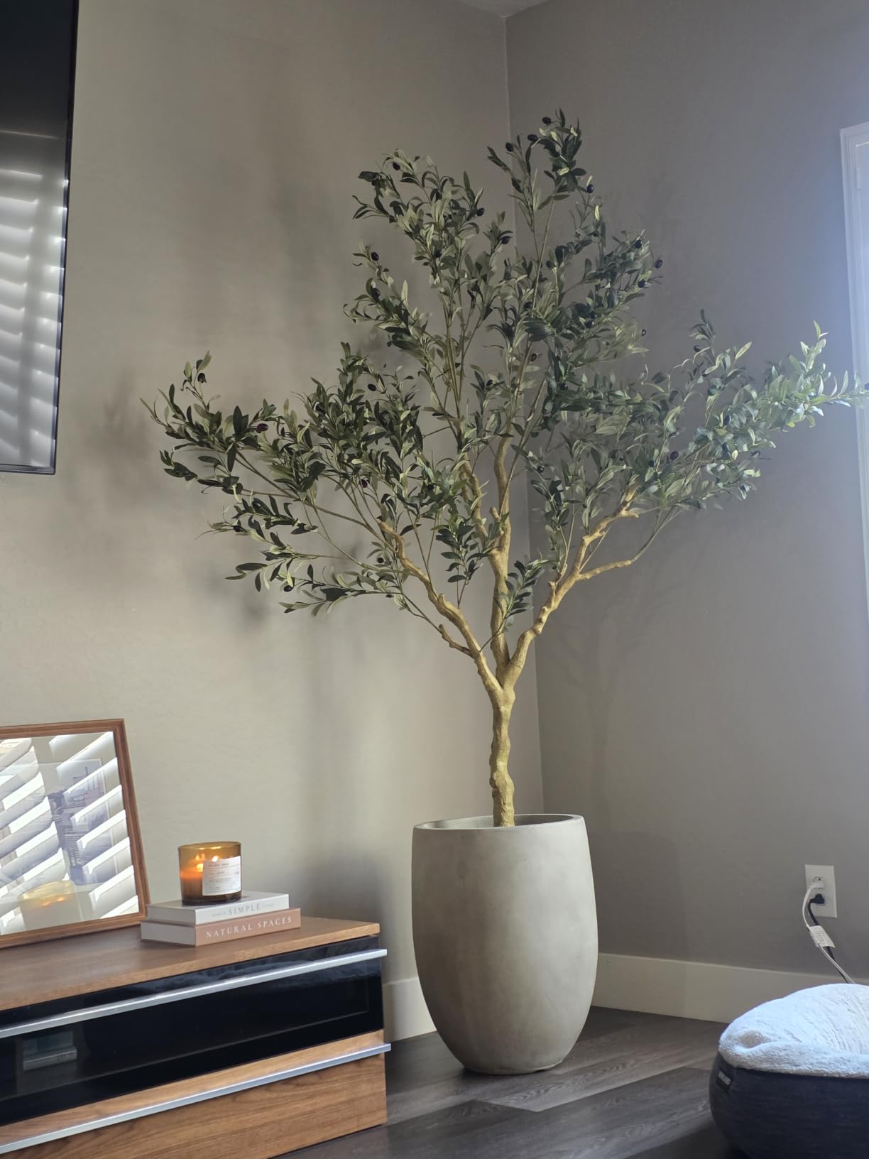 Realead 7FT Olive Trees Artificial Indoor - Tall Faux Olive Tree 7 Feet | Artificial Olive Tree with Realistic Leaves, Natural Trunk, Sturdy Base - Large Fake Olive Tree for Modern Home Office Decor customer photo 2
