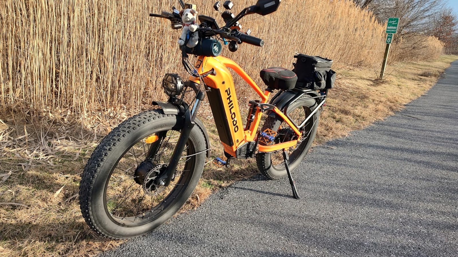 PHILODO 60V Off-Road Electric Bike - Dual Motor Hunting Ebike, Fat Tire Full Suspension Dirt Bike for Adults, Long Range Snow/Sand Electric Bicycle customer photo 2
