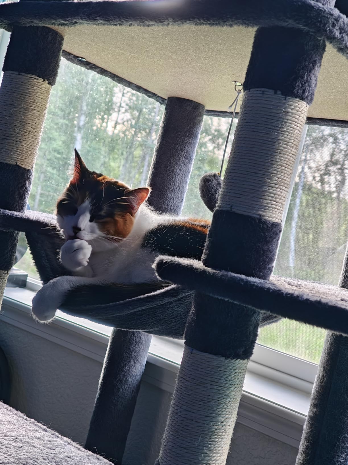 Globlazer Giant Tall Heavy Duty Cat Tower for Indoor Large Cats, F83B | XXL Multi-Level Large Cat Condo with 8 Scratching Posts, Hammock, 2 Cat Caves, 2 Platform, Dark Grey customer photo 2