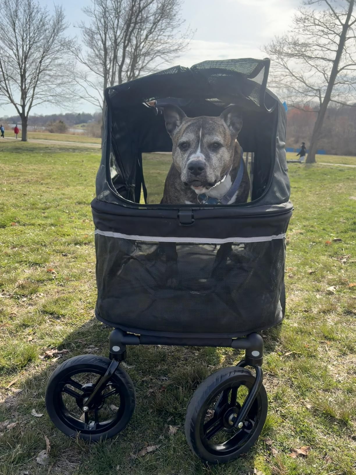 Zoosky Pet Stroller for Large Dogs up to 110lbs, Large Pet Stroller | Multiple Pets(31