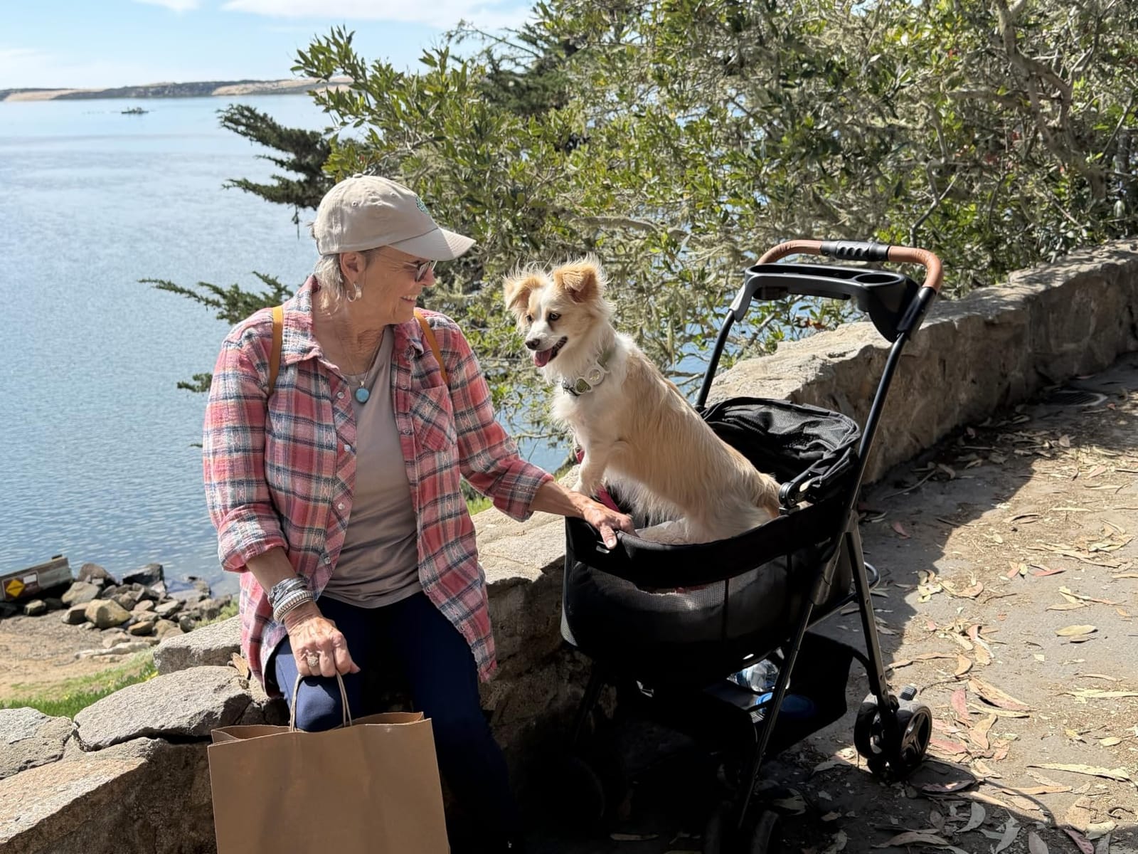 Zoosky 3 in 1 Dog Stroller, Folding Pet Stroller w/Removable Carrier | Small/Medium Dogs and Cats, Waterproof, All-Terrain & 2 Sun Shades, Car Seat, 360 Breathable Mesh customer photo 1