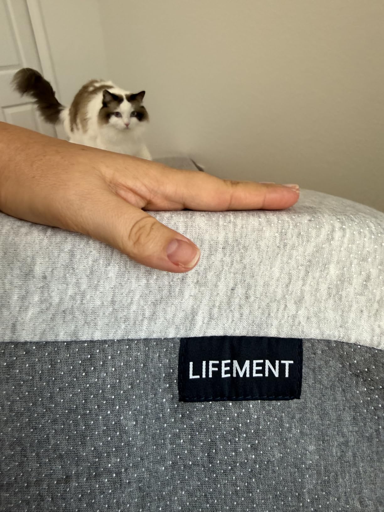 LIFEMENT Twin Mattress for Kids, 6 Inch Twin Bed Mattress, Basic Copper Cooling Gel Memory Foam Mattress in a Box, Pressure Relief with Medium Firm Support, CertiPUR-US Certified customer photo 1