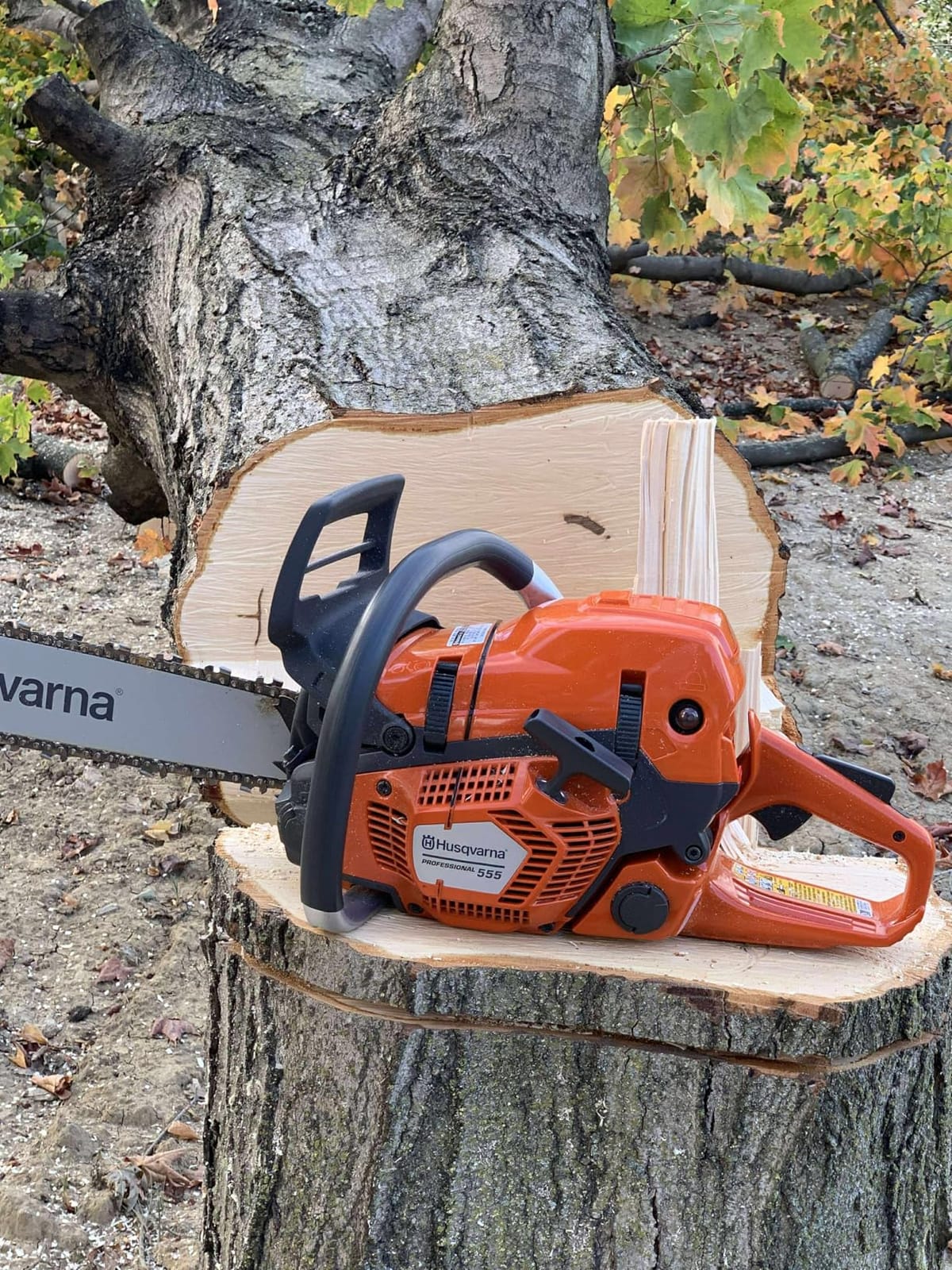 Husqvarna 555 Professional Gas Chainsaw, With X-Cut Chain, Outdoor Tools | Gas powered chainsaw, for professional felling, limbing, and bucking small and midsize trees, Smart Start and AutoTune customer photo 1