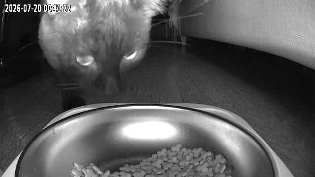 Frienhund 5G WiFi Automatic Cat Feeder with Two HD Camera: 7L Automatic Dog Feeder with Night Vision, Auto Cat Food Dispenser for Multiple Pet, Detachable for Easy Cleaning - 29 Cup customer photo 1