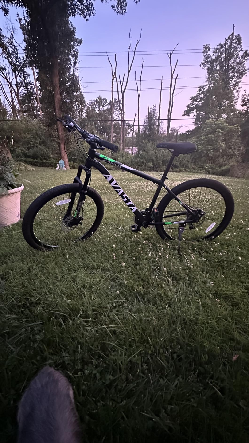 AVASTA AV300 26 27.5 Inch Mountain Bike MTB for Adult Man Women Male | Lightweight Aluminum Alloy Frame, Dual Disc Brakes, Front Suspension, 21-Speed Gear Shifter, Half Hidden Brake Cables customer photo 2