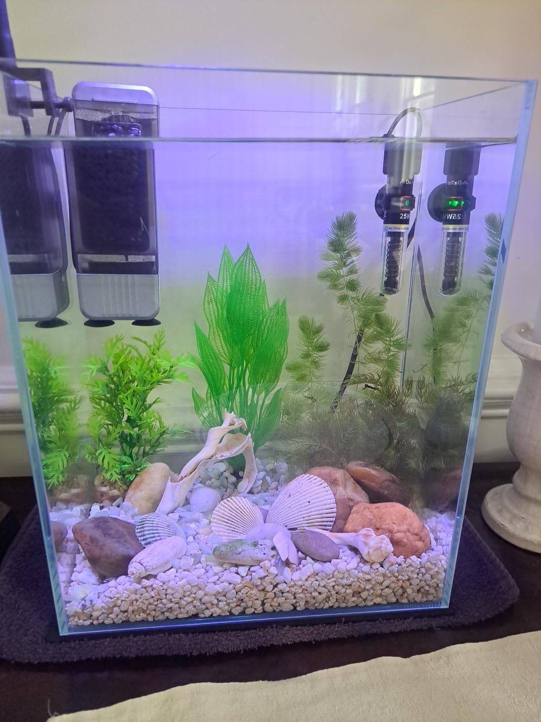 Vimvins 2 Gallon Glass Fish Tank, Easy to Maintain Small Aquarium for Betta/Snails/Shrimp and Aquatic Planting customer photo 2