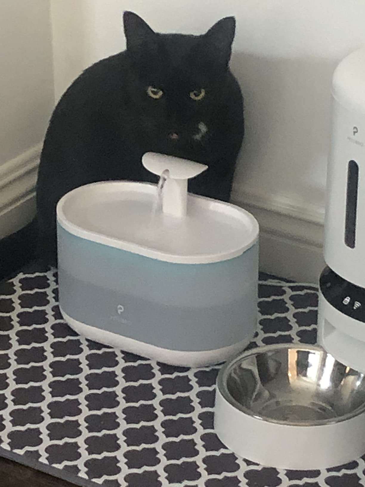 PETLIBRO Upgrade Cat Water Fountain Stainless Steel Tray, Dockstream 2 Cat Fountain Indoor, 3L/101oz Auto Cat Fountains for Drinking, App Monitoring Pet Water Fountain Dog, 5G WiFi Cat Water Dispenser customer photo 1