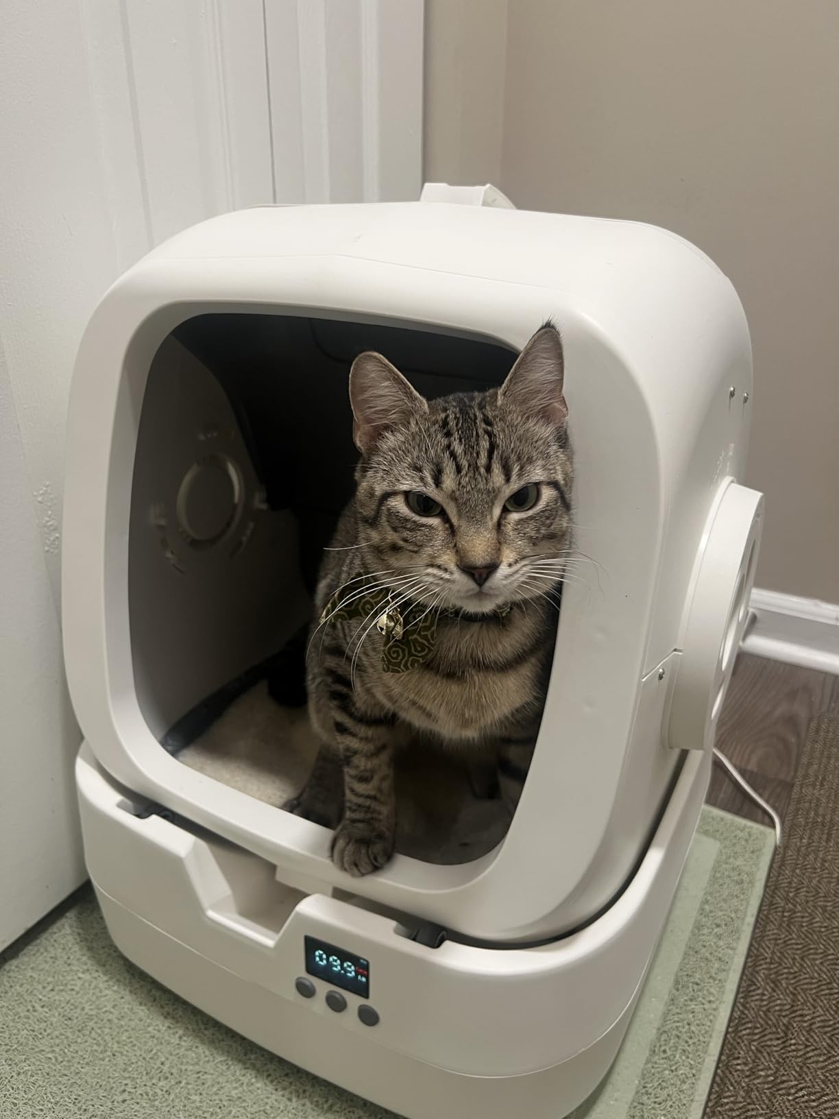 Mintakawa Automatic Cat Litter Box Self Cleaning - APP Control and Weight Monitoring - Ultra-Quiet, Safe Anti-Pinch Litter Box customer photo 1