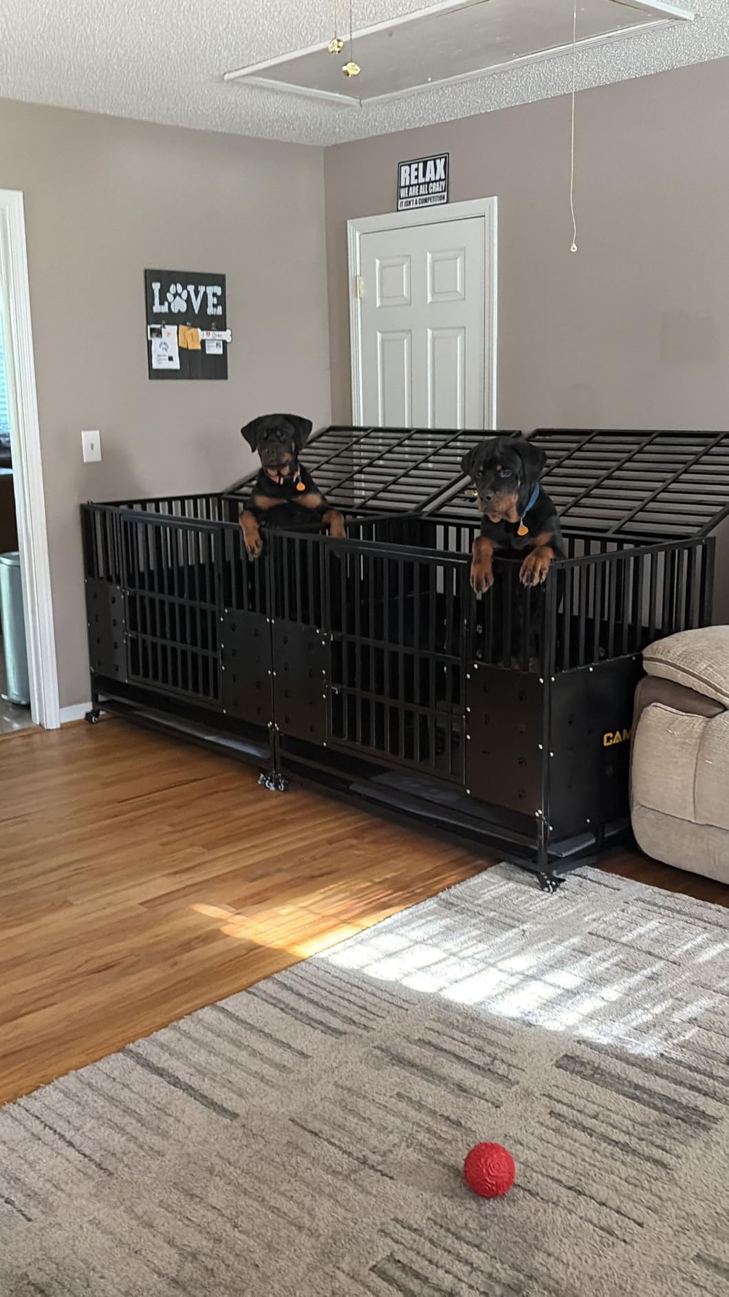 Cammoo 48'' Heavy Duty Dog Crate/Kennel for Large Dogs Indoor | Upgraded Chew-Proof Panels, Comfort-Widened Floor Panel, Adjustable Internal Height, Easy-Access Wide Door, 4 Lockable Wheels customer photo 2