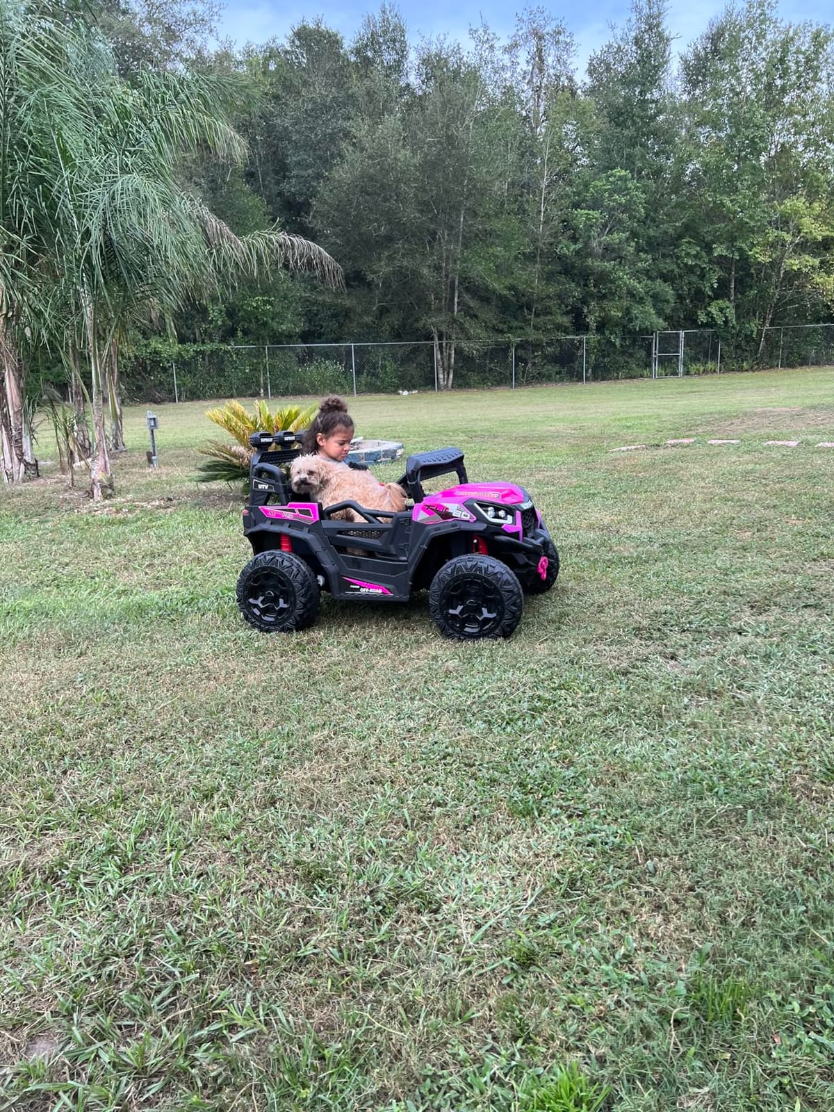 sopbost 24V Kids Ride On UTV with Remote Control, 2WD/4WD Switchable, Blue | 4x4 Ride On Toy Car for Kids Age 3-8, Battery Powered Electric Vehicles, EVA Tires Wheels, Single-Seater, Music Play customer photo 2