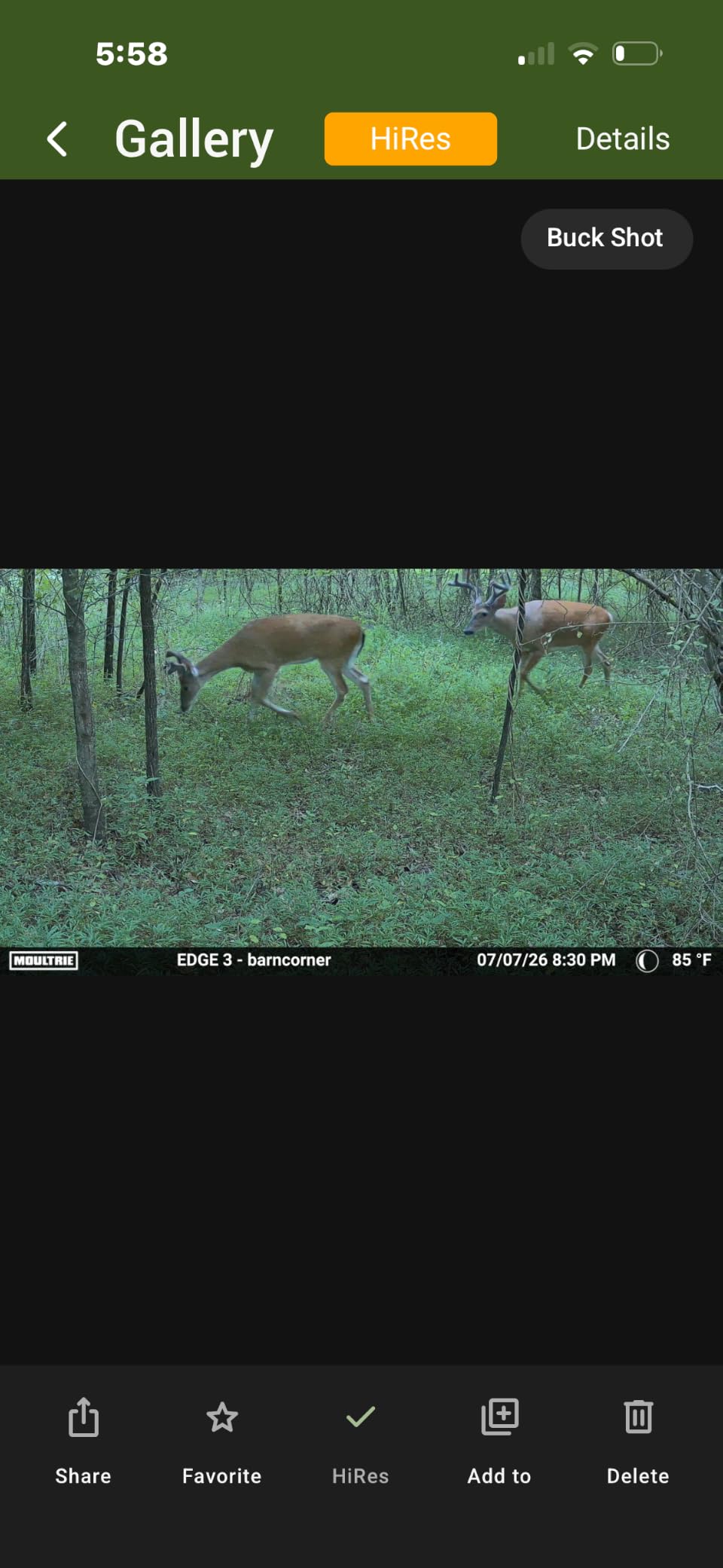 Moultrie Edge 3 Cellular Trail Camera - 2-Pack, 40MP, 0.5s Trigger | Scout from Anywhere, HD photos via Mobile app, 1080p video, multi-carrier, low-glow flash, GPS, Two Pack customer photo 2