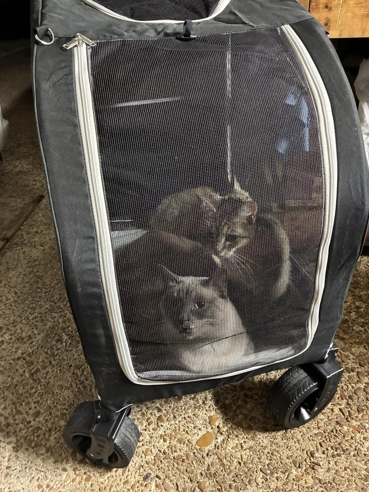 EchoSmile 4 Wheels Pet Stroller, Dog & Cat Stroller for All-Season, Lightweight Carrier with Storage Basket, Adjustable Handle, Removable Pad, Breathable Mesh, Up to 135 lbs, Grey customer photo 2