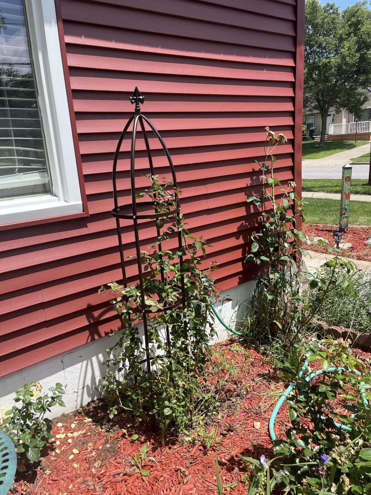 Garden Obelisk Trellis 100% Metal Heavy Duty 5.5 ft for Climbing Vines - Bronze Rustproof Tower customer photo 1