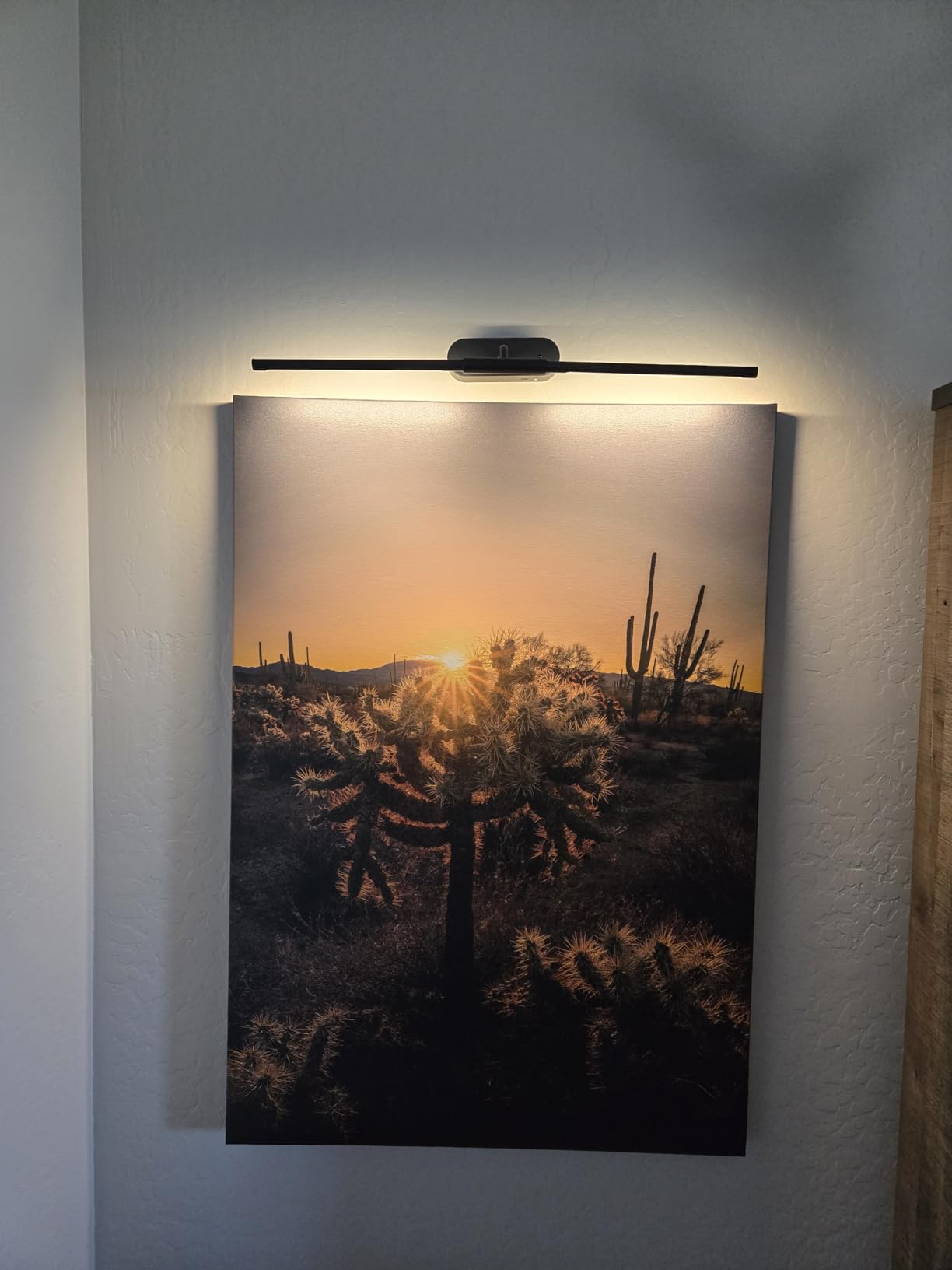 Glendan Picture Light for Wall, Professional Art Light for Museum & Gallery | 20°-35° Adjustable Beam Angle and Zoomable Aperture, 2700-6500K CRI95+, Flicker-Free, APP Smart Control, Hardwire Ready customer photo 1