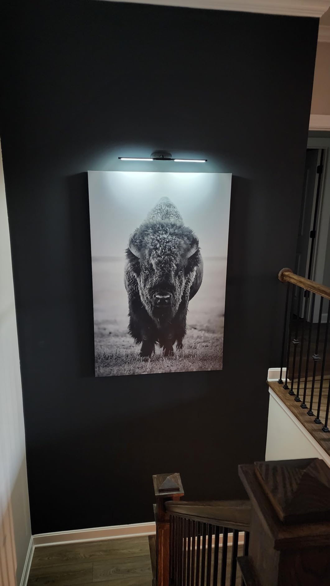 Glendan Picture Light for Wall, Professional Art Light for Museum & Gallery | 20°-35° Adjustable Beam Angle and Zoomable Aperture, 2700-6500K CRI95+, Flicker-Free, APP Smart Control, Hardwire Ready customer photo 2