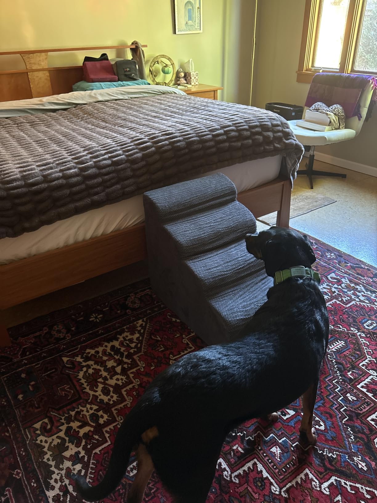 Miorun Extra Wide Dog Stairs for Large Dogs, 25