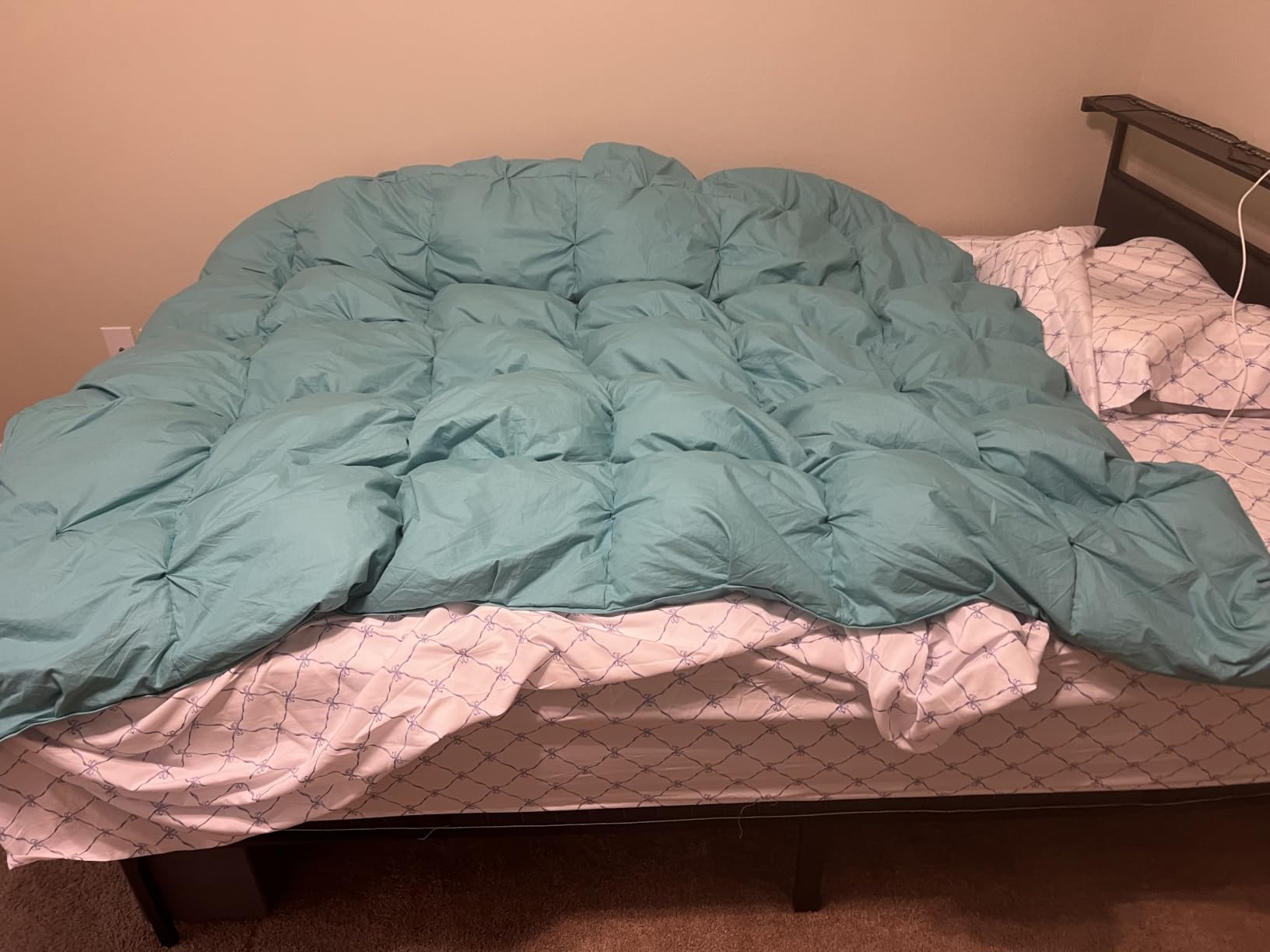 Three Geese Queen Size Pinch Pleat Duck Feather Down Fiber Comforter - All-Season Down Duvet Insert Fluffy Baffle Box Design with 8 Corner Loops for Warmth and Softness. customer photo 2