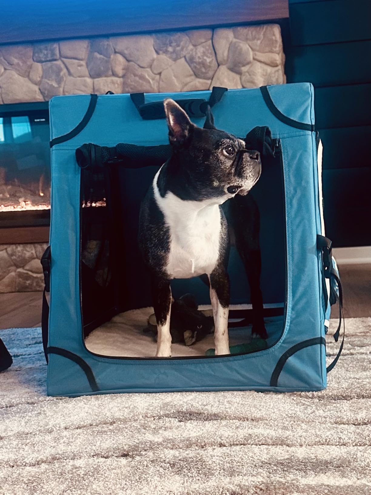 Snagle Paw Portable Dog Crate for Car Travel,Metal Frame Pet Crate,Pet Carrier for Car Back Seat Secures with Headrest Strap and Seatbelt,M customer photo 1
