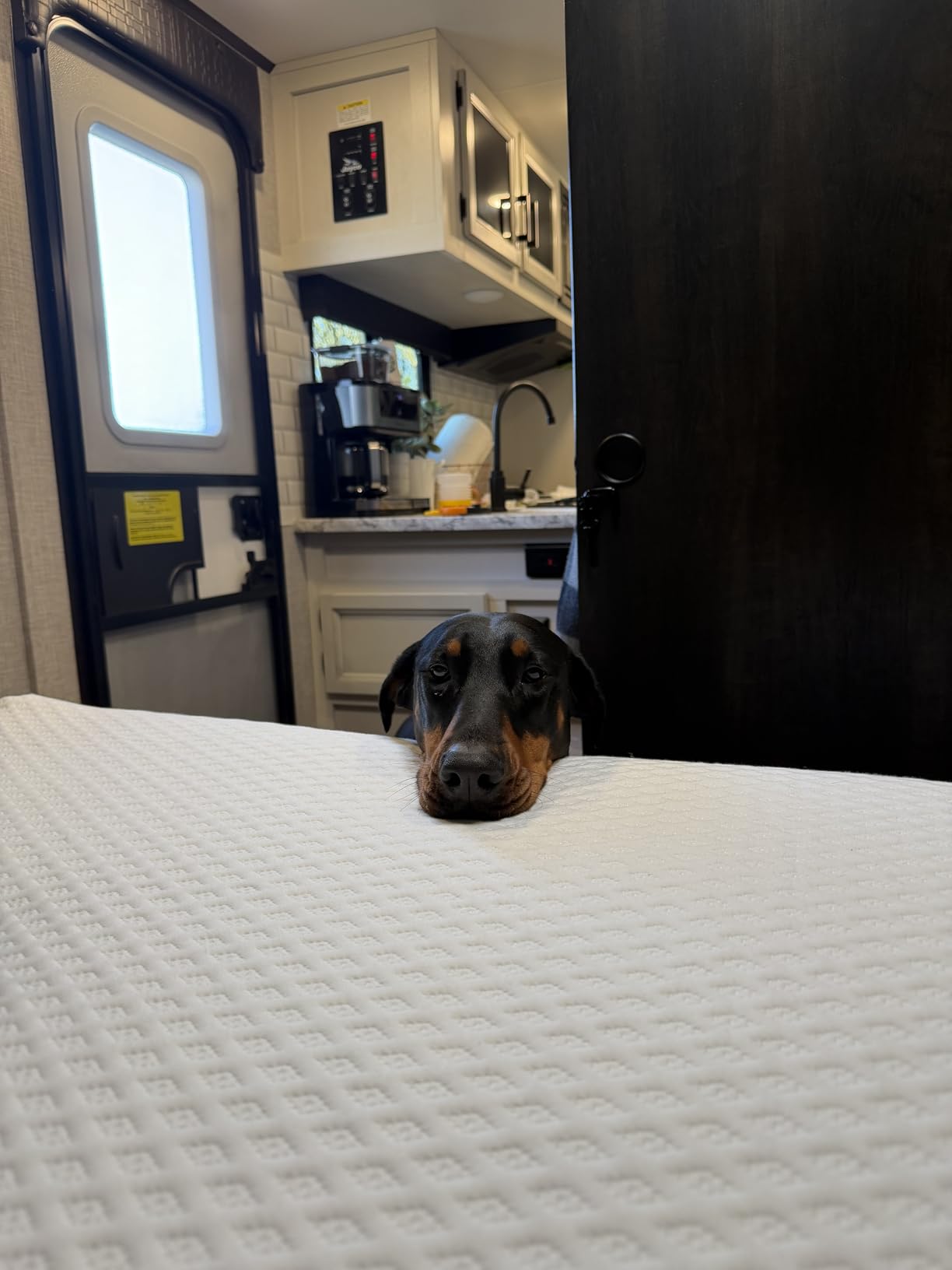 Short Queen - 10 Inch RV Mattress - 60x74, Aquasoft Memory Foam Mattress, Medium Firm, Breathable Diamond Soft Cover Fabric, Certified Safe Foam, Bed in a Box Mattress, Made in Mississippi customer photo 2