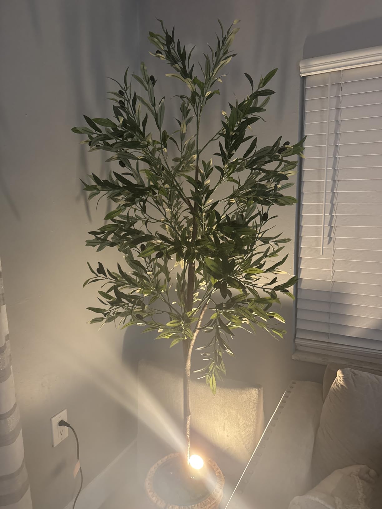 Alupssuc 6ft Faux Olive Tree with Lifelike Fruits and Realistic Leaves | Artificial Potted Olive Tree, Fake Plant for Living Room, Office & Modern Home Decoration customer photo 1
