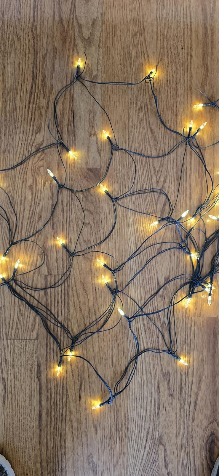 Christmas Net Lights Outdoor for Bushes, 6x5ft 120LED Net Light Outdoor Mesh Lights, Connectable Waterproof Net Light for Bushes,Garden,Yard,Trunk,Xmas Tree,Christmas Decor customer photo 1