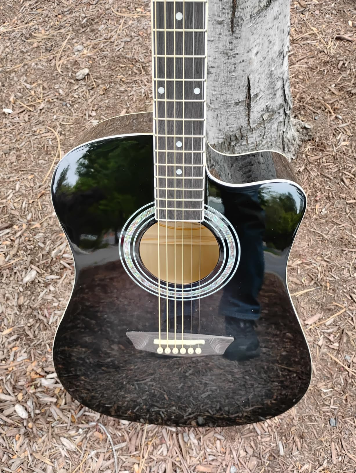 Washburn WA90CE Acoustic-Electric Guitar Kit Tobacco Burst | Starter kit included; Cutaway body customer photo 1