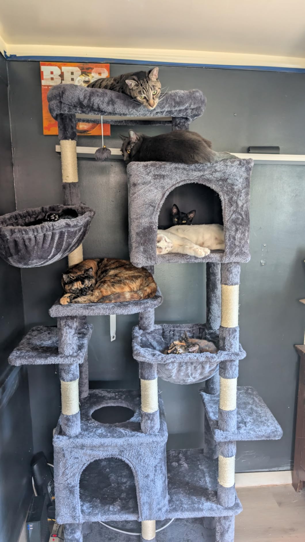 Heybly Cat Tree, 76-Inch Tall Heavy Duty Cat Tower for Big Cats with Extra Wide Baseboard, Multi-Level Large Cat Furniture with 2 Condos & 2 Hammocks, 10 Scratching Posts, Smoky Gray HCT039G customer photo 1