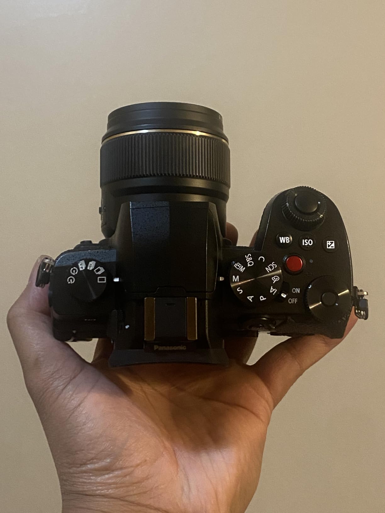 LUMIX G97 Compact Hybrid Micro Four Thirds Mirrorless Camera with LUMIX G Vario 12-60mm / F3.5-5.6 Lens, Designed for Content Creators in Photo & Video, DC-G97MK9 customer photo 2
