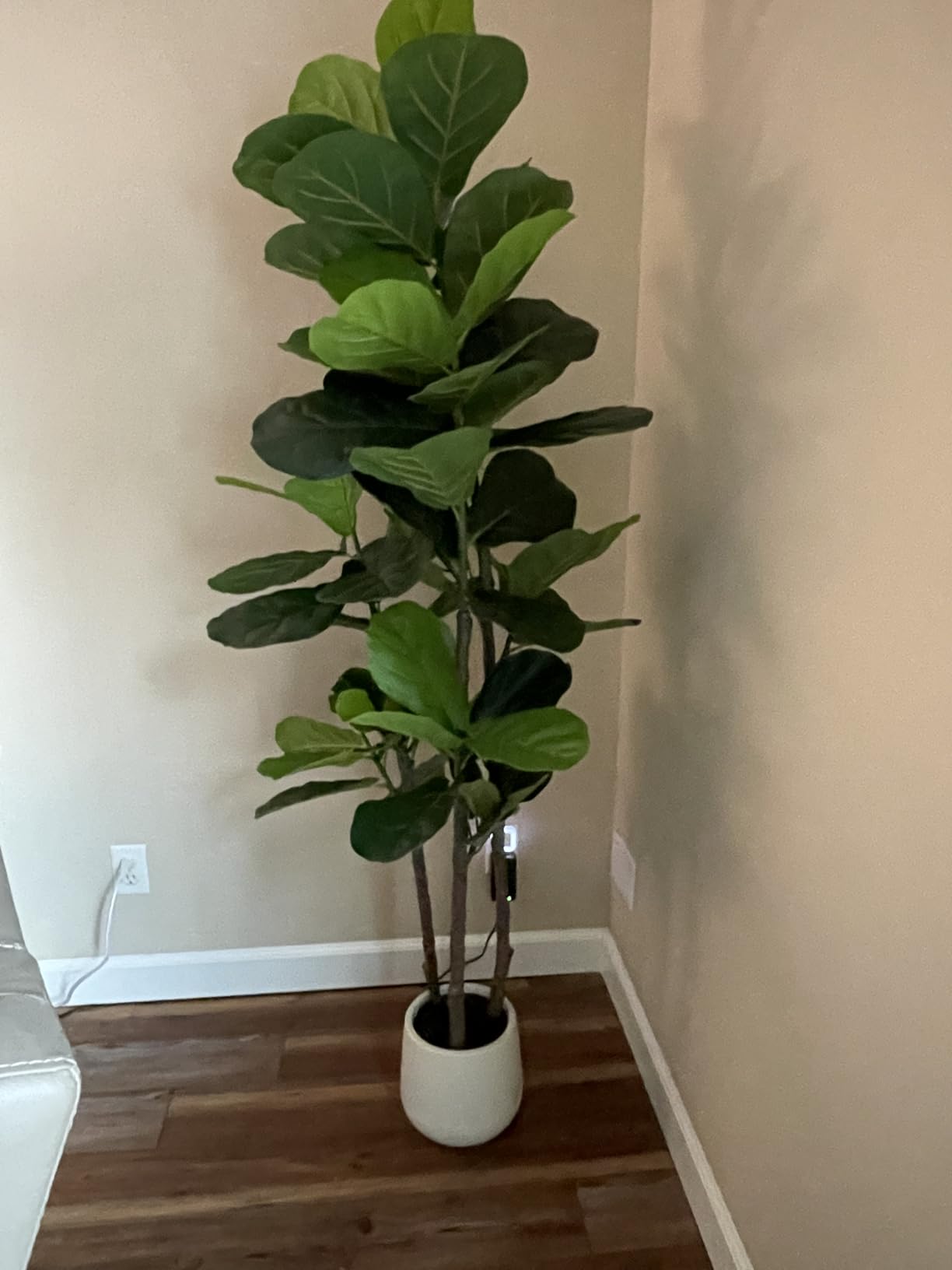 Realead 5ft Artificial Fiddle Leaf Fig Tree with White Planter | Faux Fiddle Leaf Fig Tree, Natural Trunk, Lifelike Leaves, Fake Fig Tree For Home Living Room Bedroom Offices Indoor Decor customer photo 1